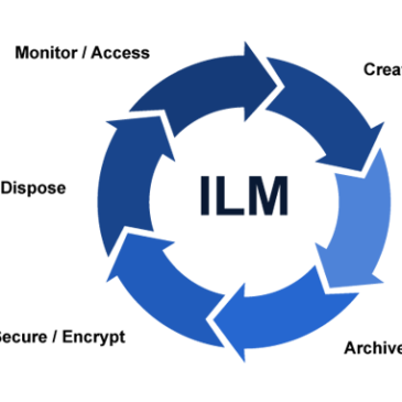 Information Lifecycle Management