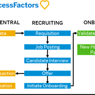 Data Types in Employee Central Payroll