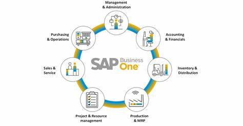 The SAP Business One (SAP B1) Web Client