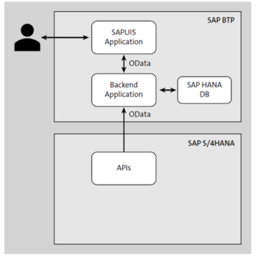 CAP for SAP Programming